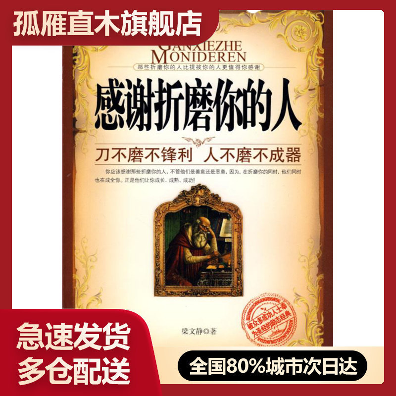 【正版书】感谢折磨你的人 梁文静 梁文静,