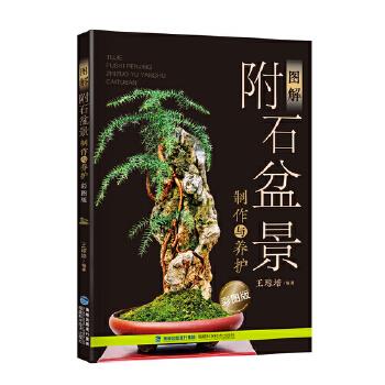 【正版】图解附石盆景制作与养护彩图版 编者:王琼培 著作 园林艺术 王琼培