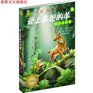 倔小孩动物小说之爱上奔跑 羊2 星辰守护者 凤凰出版 书 夏宁 社 正版
