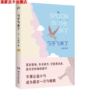 【正版书】 勺子飞来了 王春鸣 湖南文艺出版社