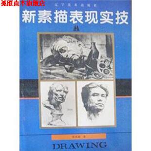 正版 辽宁美术出版 书 张英超 社 新素描表现实技