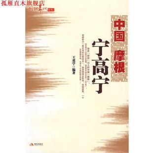 正版 现代出版 书 王虎学 社 中国摩根宁高宁