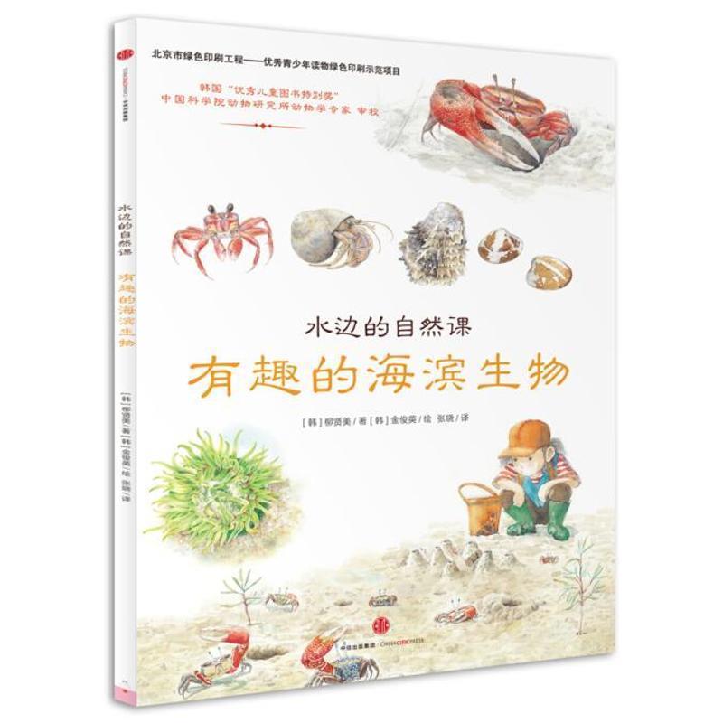 【正版书】 水边的自然课：有趣的海滨生物 [韩]柳贤美著 [韩]金俊英绘 中信出版社