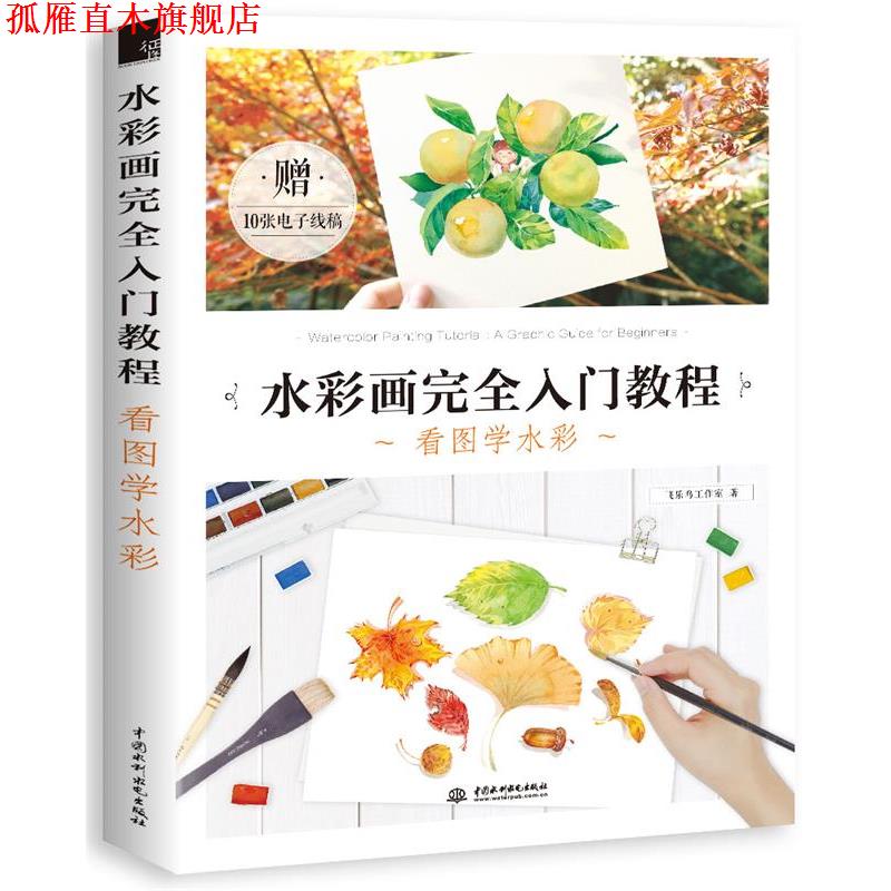 【正版书】 水彩画入门教程 看图学水彩 飞乐鸟 水利水电出版社