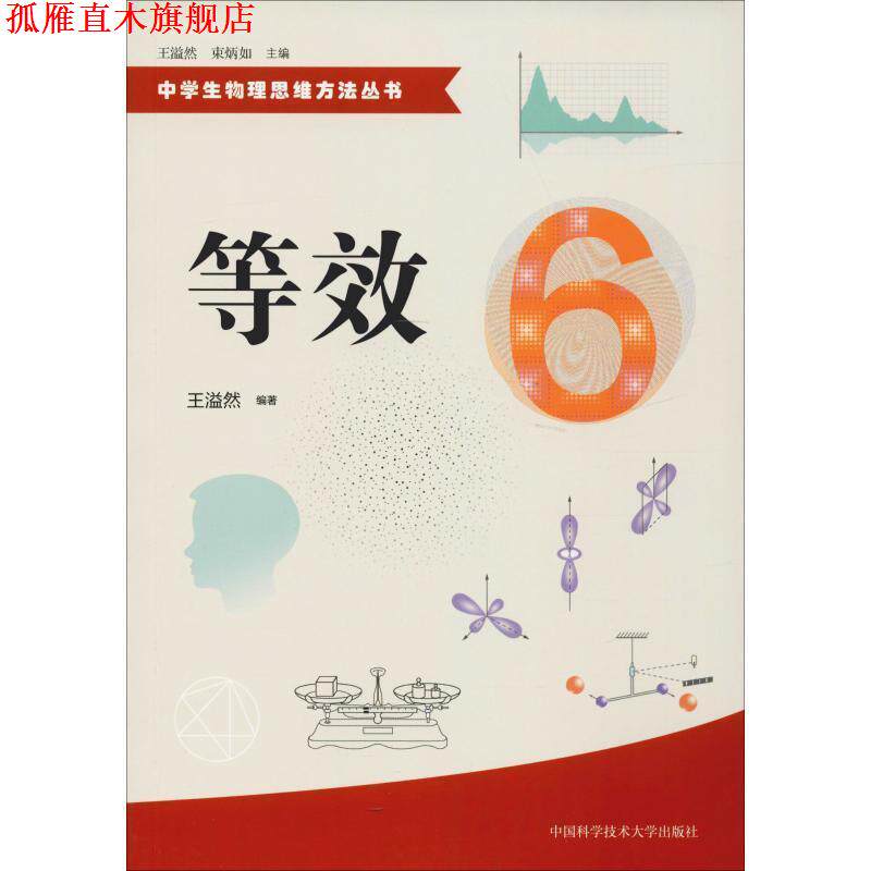 【正版书】 等效 王溢然著,束炳如 编 中国科学技术大学出版社