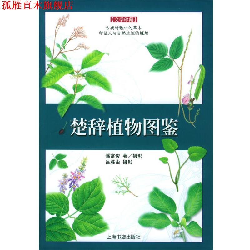 【正版书】 楚辞植物图鉴—文学珍藏 潘富俊 著 上海书店出版社