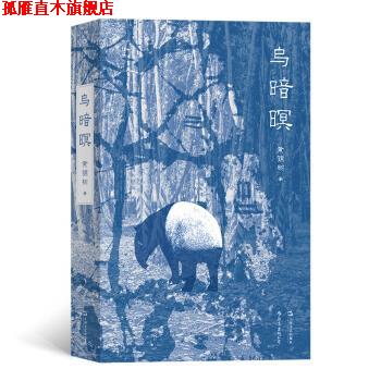 【正版书】 乌暗暝 黄锦树 著 上海文艺出版社