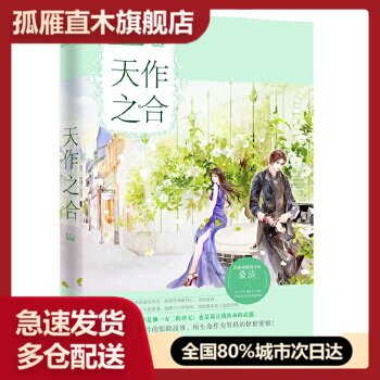 【正版】天作之合桑玠