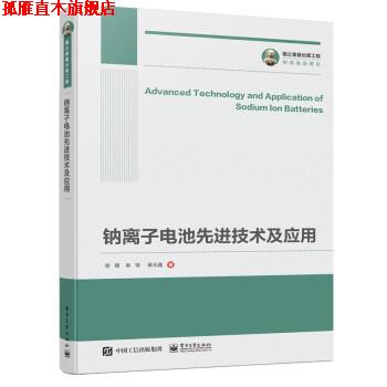 【正版书】 国之重器出版工程 钠离子电池技术及应用 谢嫚,吴锋,黄永鑫 著 电子工业出版社