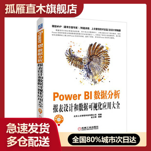 【正版】Power BI数据分析:报表设计和数据可视化应用大全金立钢