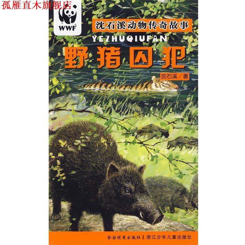 【正版书】 野猪囚犯 沈石溪动物传奇故事 沈石溪 著 浙江少年儿童出版社