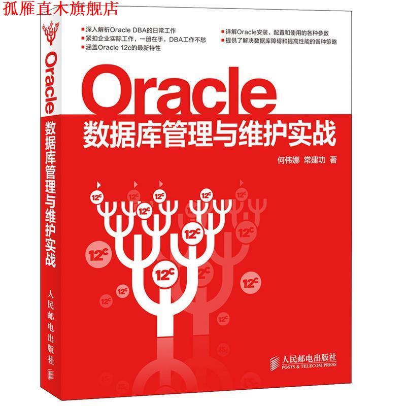 【正版书】 Oracle数据库管理与维护实战 何伟娜 常建功 著 人民邮电出版社