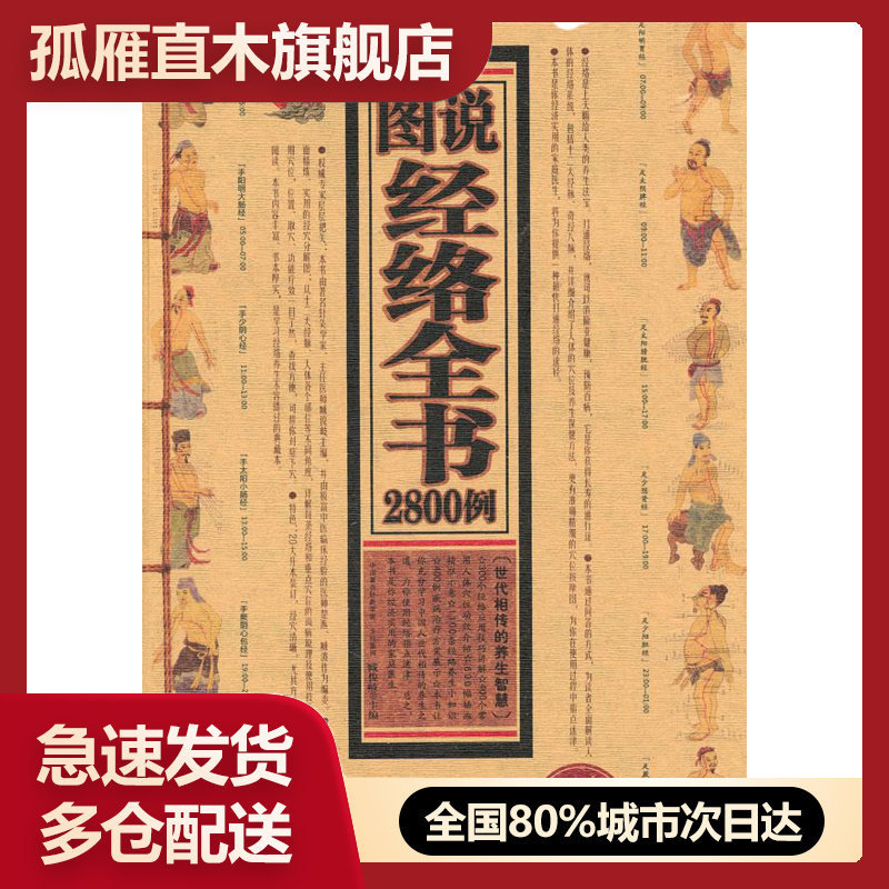 图说经络全书2800例正版