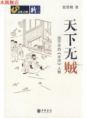 【正版书】 天下无贼说不尽的《水浒》人物 张望朝　著 中华书局
