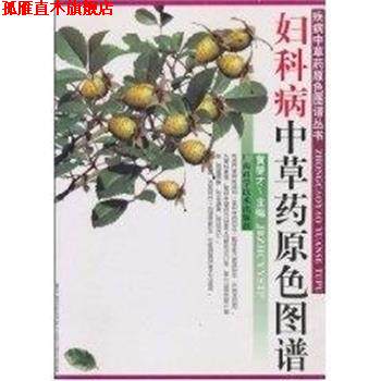 【正版书】 妇科病中草药原色图谱 疾病中草药原色图谱丛书 黄燮才 广西科学技术出版社