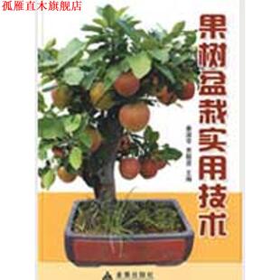 【正版书】 果树盆栽实用技术 姜淑苓,贾敬贤　主编,仇贵生　等编著 金盾出版社
