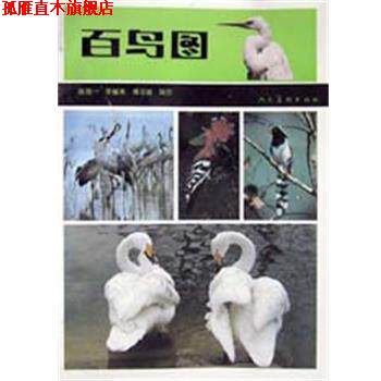 【正版书】 百鸟图 陈效一 人民美术出版社