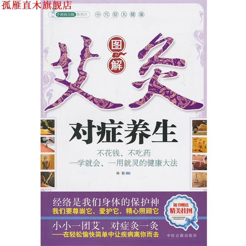 【正版书】 图解艾灸对症养生 林敬　等主编 中医古籍出版社