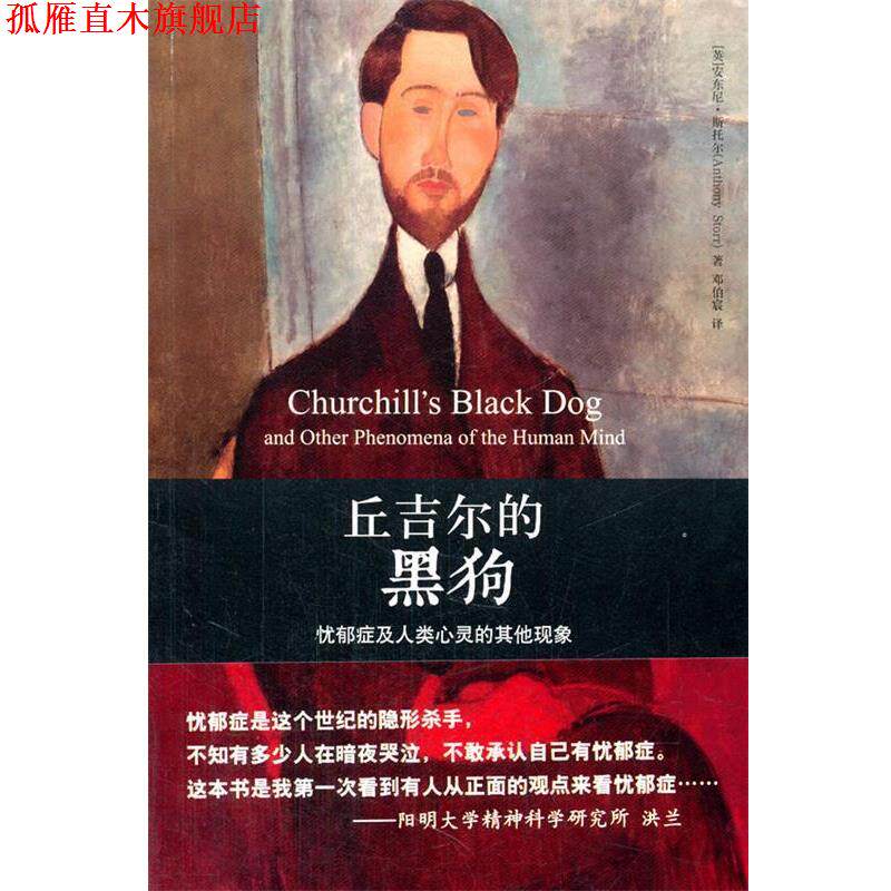 【正版书】 丘吉尔的黑狗-忧郁症及人类心灵的其他现象 (英)斯托尔,邓伯宸 北京大学出版社