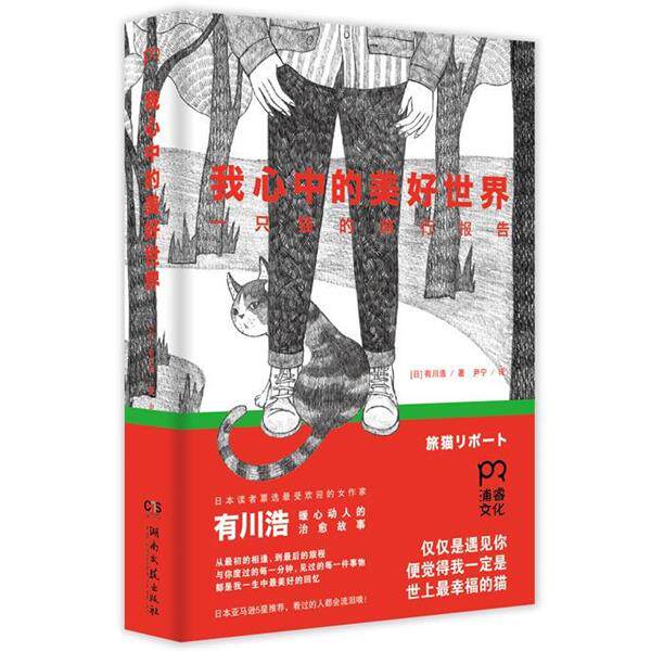 【正版书】 我心中的美好世界 (日)有川浩 著,尹宁 译 湖南文艺出版社