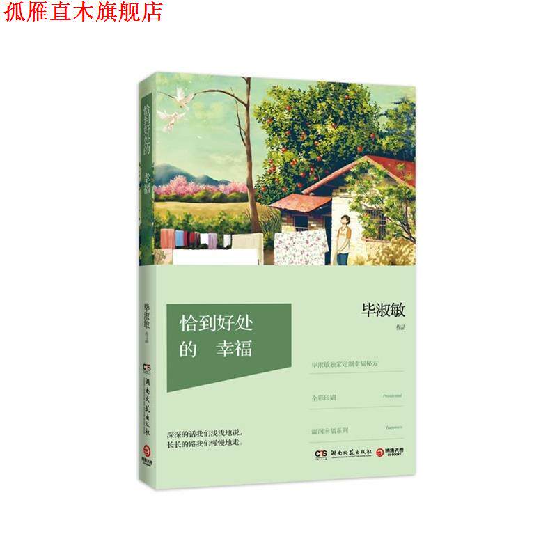 【正版书】 恰到好处的幸福 毕淑敏 湖南文艺出版社