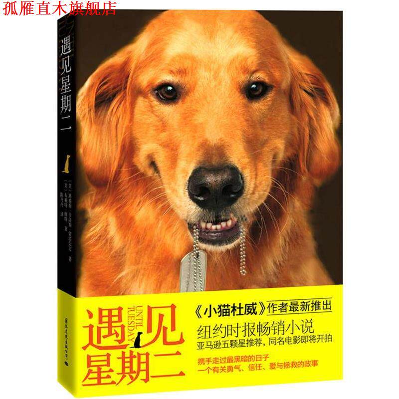 【正版书】 遇见星期二 [美]路易斯 •卡洛斯•蒙塔尔万,[美]布赖特•维特　著　, 陈丹丹 译 国际文化出版公司