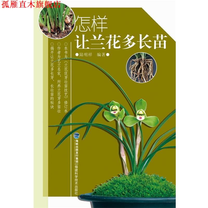 【正版书】 怎样让兰花多长苗 陆明祥 福建科技出版社