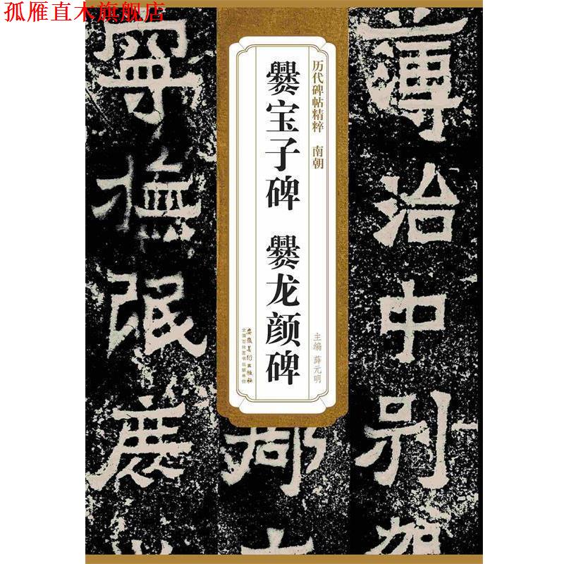 【正版书】 南朝爨宝子碑 爨龙颜碑 薛元明 主编 安徽美术出版社
