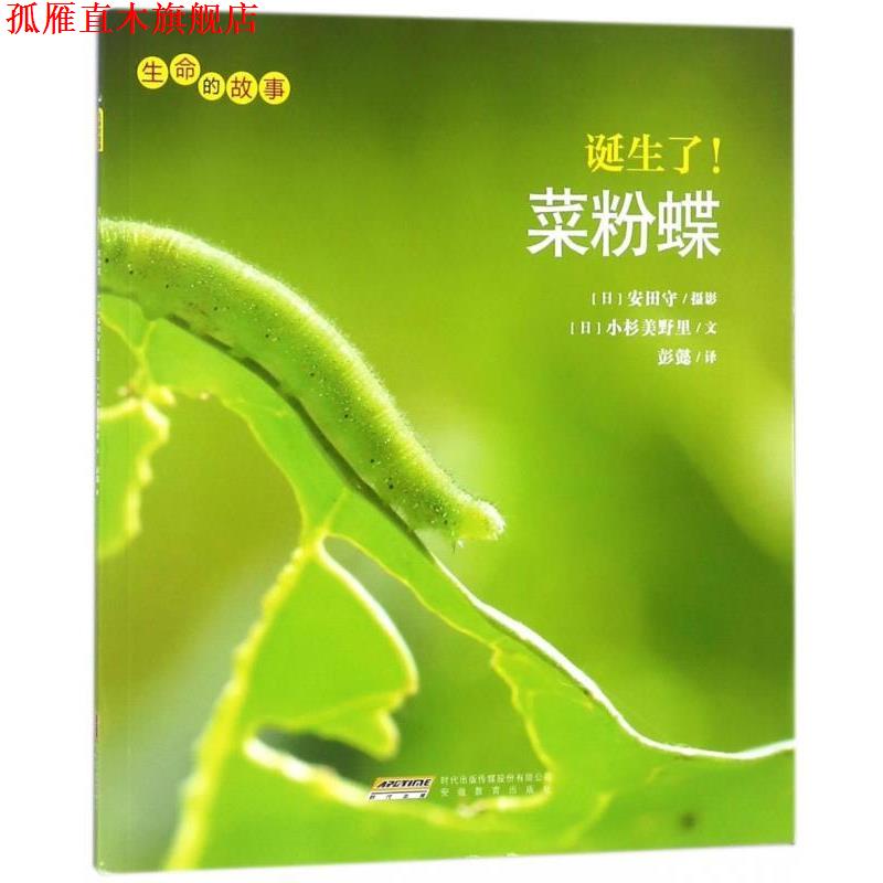 【正版书】 诞生了菜粉蝶 [日]小杉美野里,彭懿 安徽教育出版社