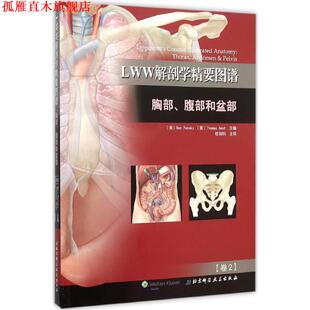 本·潘斯基 正版 腹部和盆部 Ben 北京科学技术出版 LWW解剖学精要图谱 托马斯·格斯特 书 社 胸部 Pansky 美