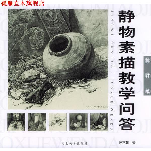 【正版书】 静物素描教学问答 宫六朝 著 河北美术出版社