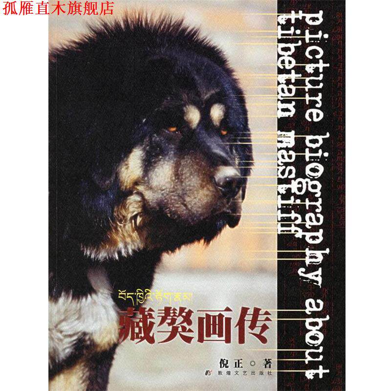 【正版书】 藏獒画传 倪正 著 敦煌文艺出版社