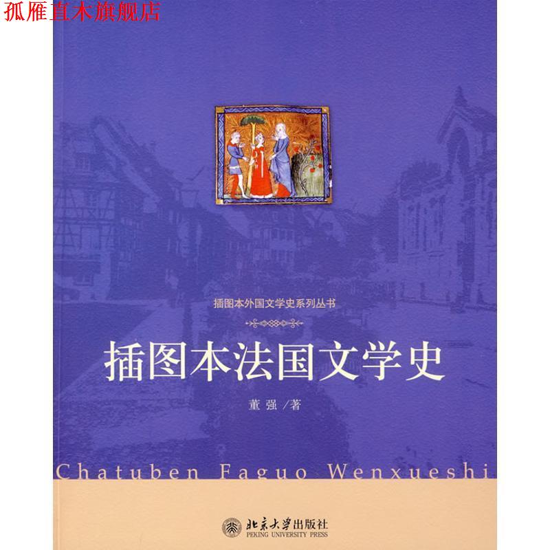【正版书】 插图本法国文学史 董强 著 北京大学出版社