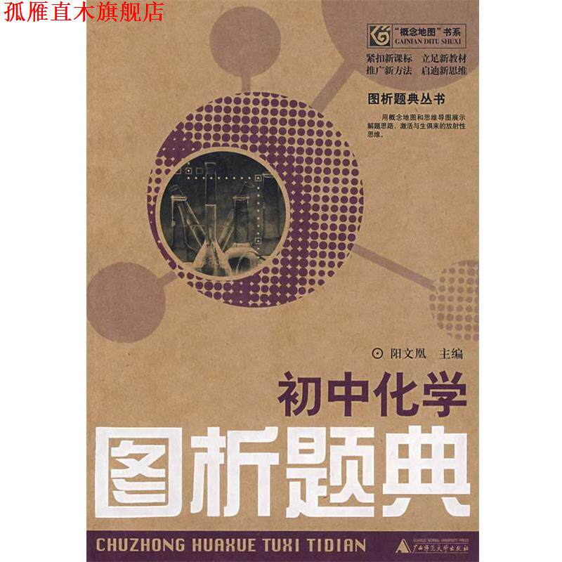 【正版书】 初中化学:图析题典 阳文凰 主编 广西师范大学出版社