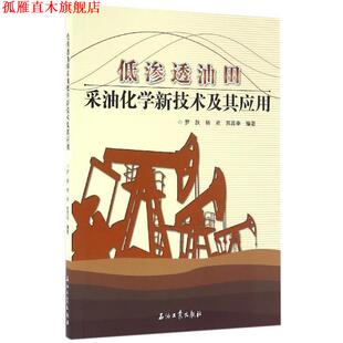 【正版书】 低渗透油田采油化学新技术及其应用 罗跃,杨欢,苏高申 著 石油工业出版社