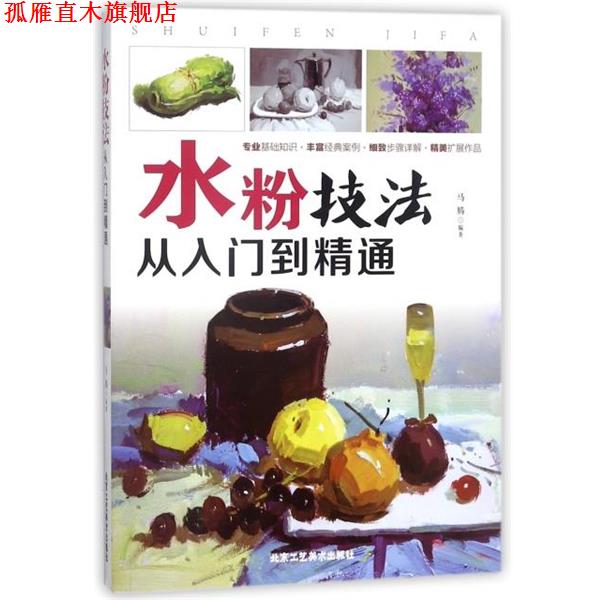 【正版书】 水粉技法从入门到精通 编者:马腾 北京工艺美术出版社