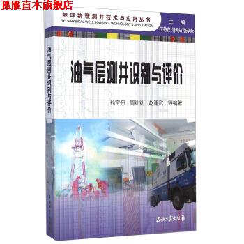 【正版书】 油气层测井识别与评价 孙宝佃,周灿灿,赵建武 等 著,王敬农,汤天知,张辛 石油工业出版社