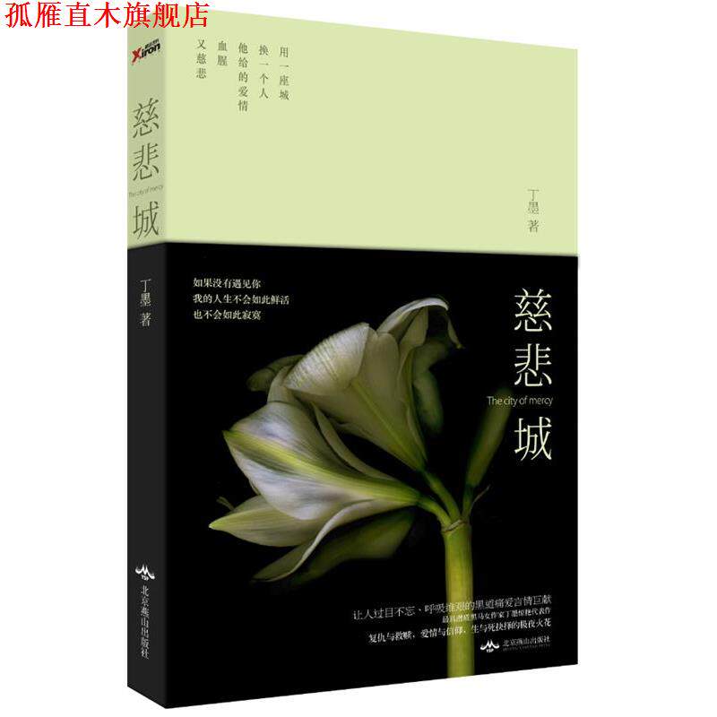 【正版书】 慈悲城 丁墨 北京燕山出版社
