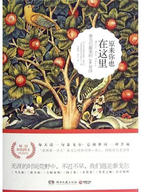 【正版书】 原来你也在这里 Rabindranath Tagore 湖南文艺出版社