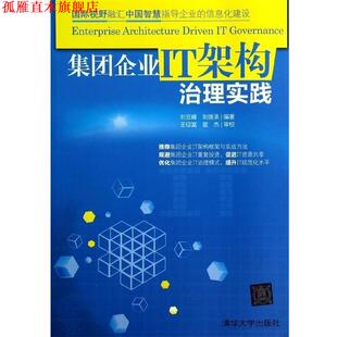【正版书】 集团企业IT架构治理实践 刘云峰,刘继承 著 清华大学出版社
