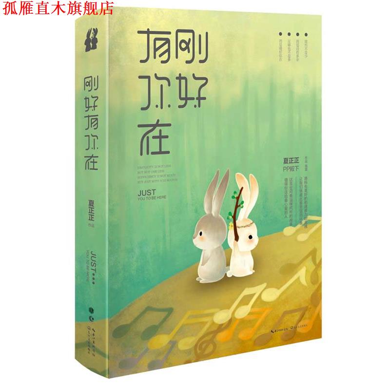 【正版书】 刚好有你在 夏正正　著 长江文艺出版社