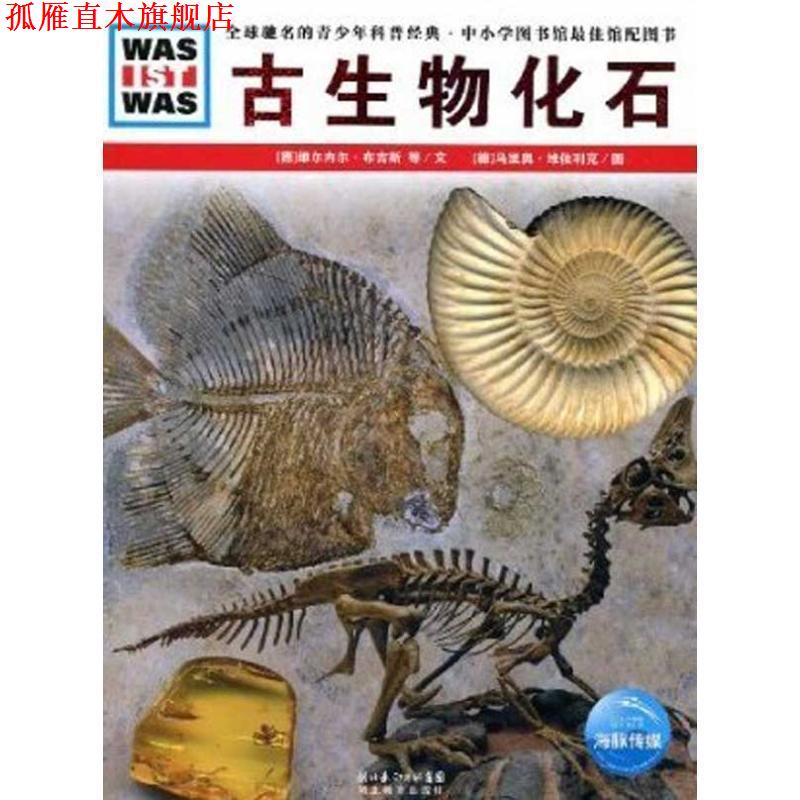 【正版书】 古生物化石 (德)维尔内尔·布吉斯,克里斯蒂安·布吉斯 文,(德)马里奥·维佐利克 图,王勋华 译 湖北教育出版社