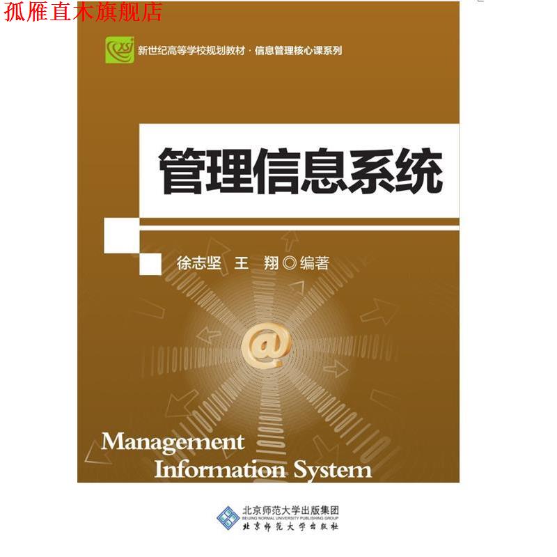 【正版书】 管理信息系统 徐志坚,王翔 编著 北京师范大学出版社