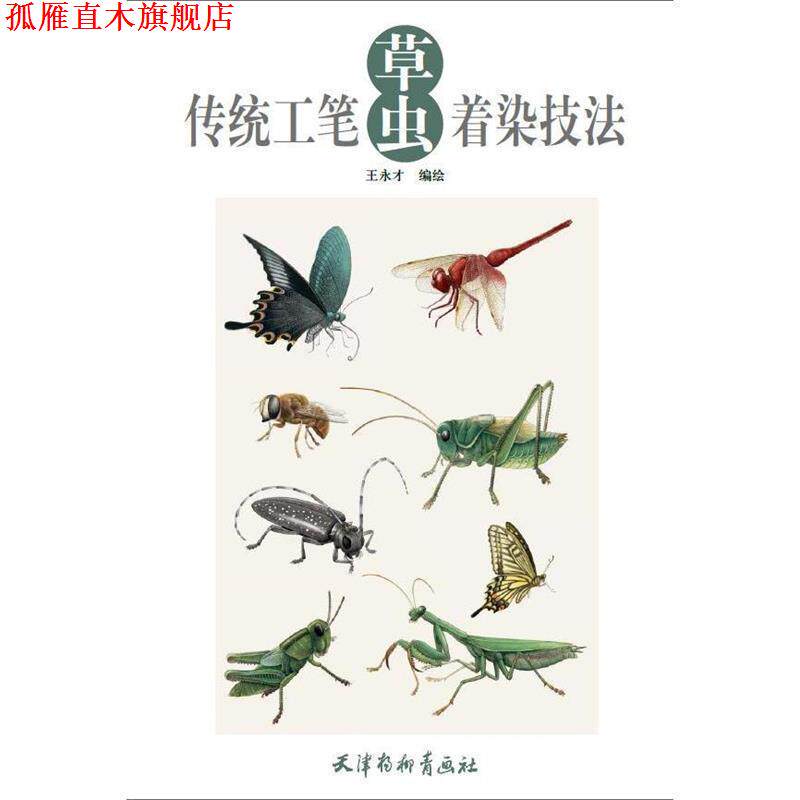 【正版书】 传统工笔草虫着染技法 王永才 杨柳青出版社