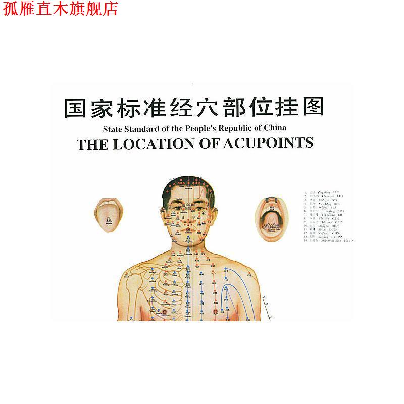 【正版书】 国家标准经穴部位挂图 中国中医研究院针灸研究所 中国中医药出版社