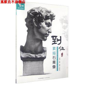 【正版书】 到位 素描石膏像 唐正华 著,孙建 编 河北美术出版社