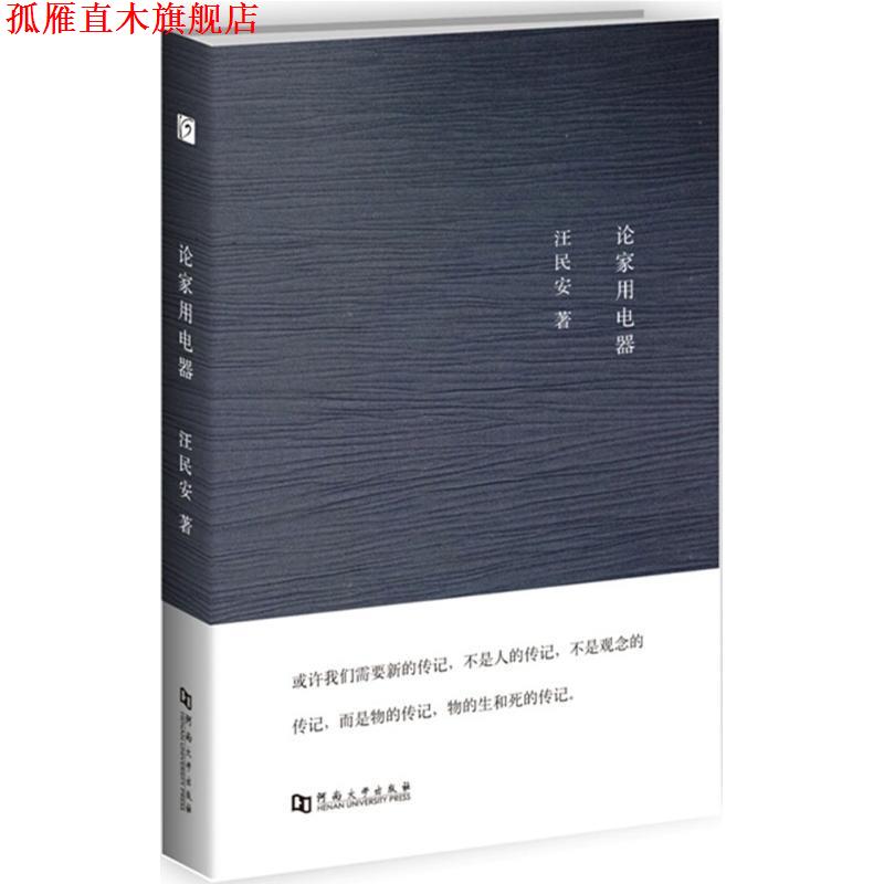 【正版书】 论家用电器 汪民安 著 河南大学出版社