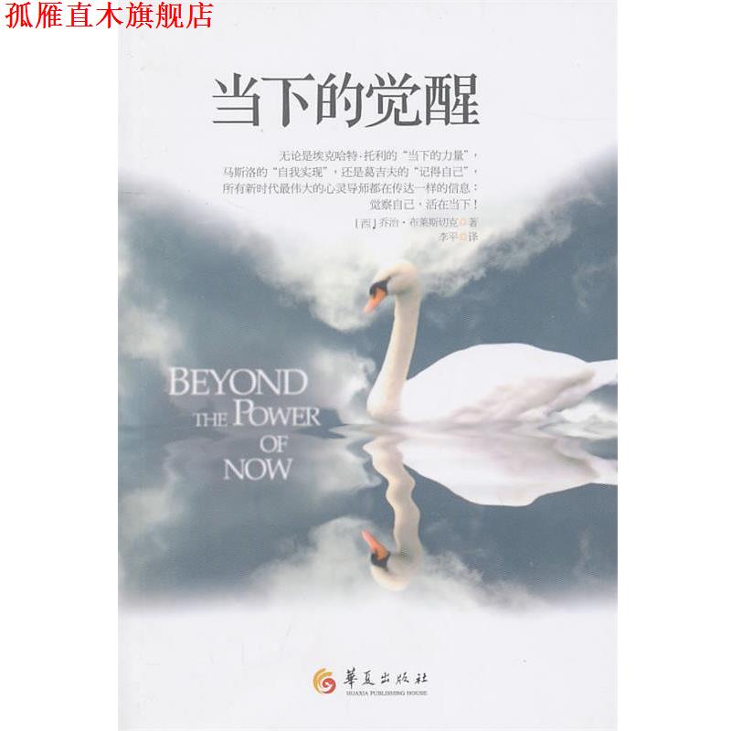 【正版书】 当下的觉醒 (西)布莱斯切克 著,李平 译 华夏出版社
