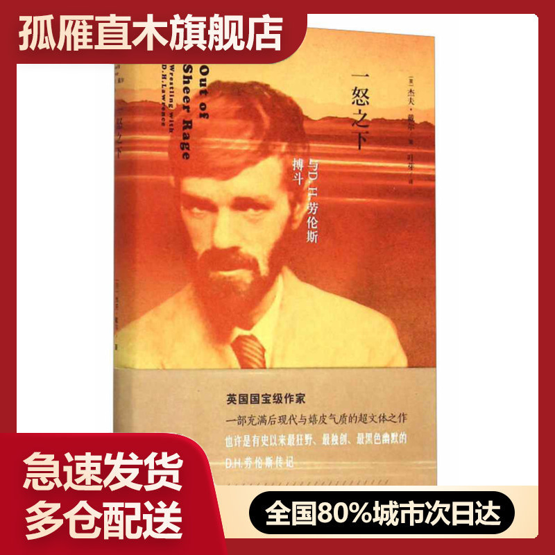 【正版】一怒之下 与DH劳伦斯搏斗 [英]杰夫u0026middot;戴尔 叶
