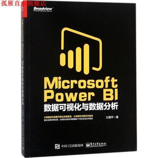 Microsoft Power 电子工业出版 正版 社 王国平 书 数据可视化与数据分析